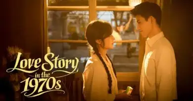 love story 1970s plot review