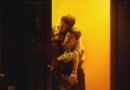 Light to the Night 2026 drama review and official poster featuring Pan Yueming and Wang Hedi