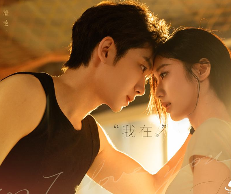 Fascination 2026 review cover image Chinese web series toxic romance and obsession story