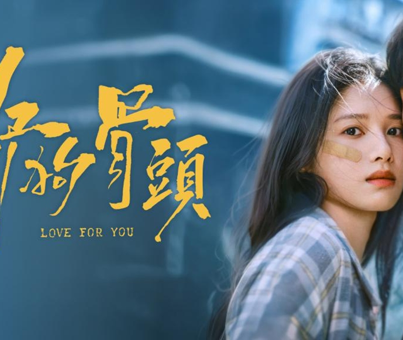 Love for You (2026) official drama poster starring Song Weilong and Zhang Jingyi
